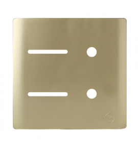 Placa p/ 2 Interruptores + 2 Furos 4x4 - Novara Dourado